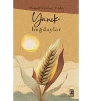 Buğdaylar