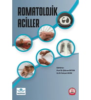 Romatolojik Aciller