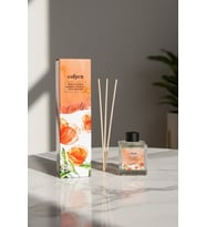 Colyen Fruity Bambu Çubuklu Oda Kokusu Meyvemsi Ferahlatıcı Etki 100 ml