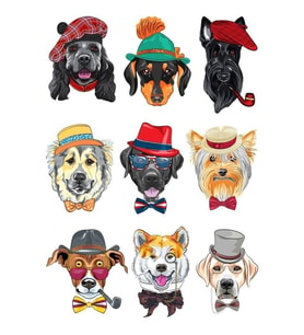 Sevimli Köpekler Sticker Set-2 9 Parça Telefon, Tablet, Defter, Laptop Sticker