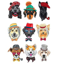 Sevimli Köpekler Sticker Set-2 9 Parça Telefon, Tablet, Defter, Laptop Sticker