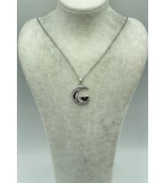 Çelik Silver Ay Detay Kolye - 25-ctr247