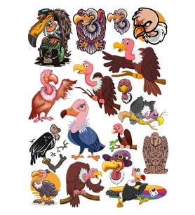 Akbaba Sticker Set 4 15 Parça Telefon, Tablet, Defter, Laptop Sticker