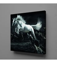 BEYAZ AT KANVAS TABLO 200x200cm