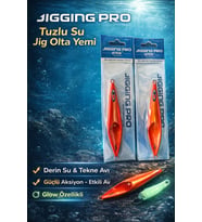 100 Gr Slow Jig Yemi 2'li Set - Glow Özellikli Derin Su Balık Avı Seti