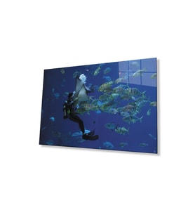 Dalgıç Balık Sualtı Cam Tablo 4mm Dayanıklı Temperli Cam Diver Fish Underwater Glass Wall Art (Çok Renkli)