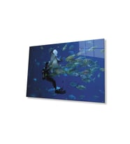 Dalgıç Balık Sualtı Cam Tablo 4mm Dayanıklı Temperli Cam Diver Fish Underwater Glass Wall Art (Çok Renkli)