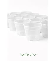10 Adet Saksı Yetiştirme Çoğaltma Saksısı 8.5 cm