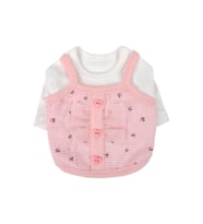 Ribon Layerd Pattern Köpek Kıyafeti