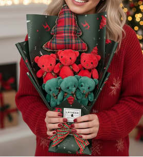Yılbaşı Noel Hediye Sevimli Yeşil Kırmızı Ayıcık Chrismas Yastık