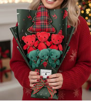 Yılbaşı Noel Hediye Sevimli Yeşil Kırmızı Ayıcık Chrismas Yastık
