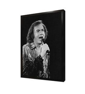 Singer Çerçeveli Mdf Tablo