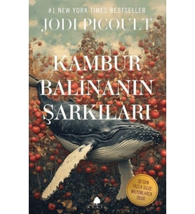 Kambur Balinanın Şarkıları