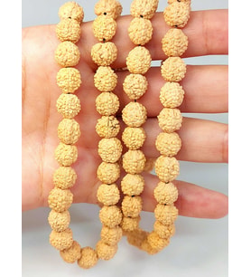 Açık Renk Süt Rudraksha Tohum Dizi 8-9mm aralığı (Mala yapımı için) 108 lik
