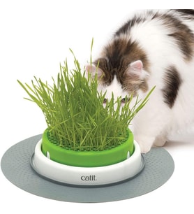 Grass Planter, kedi otu, kapaklı kedi kazığı, 1 adet (tekli paket)
