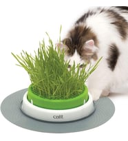 Grass Planter, kedi otu, kapaklı kedi kazığı, 1 adet (tekli paket)