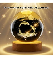 Lazer İşlemeli Yunus Kristal Küre Sıcak Işıklı Ahşap Standlı