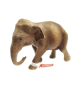 Schleich Dişi Asya Fili 17001