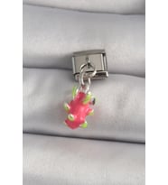 316L Çelik Gümüş Renk Sallantı Ejder Meyvesi Model Nomination Charm TJ-BC1175