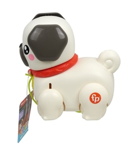 HTW94 Fisher-Price Minik Dostumla Yürüyüş