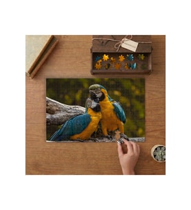 Amerika Papağanları Kuş Tasarımı 240 parça Ahşap Puzzle Ahşap Kutuda MP05289