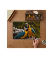 Amerika Papağanları Kuş Tasarımı 240 parça Ahşap Puzzle Ahşap Kutuda MP05289