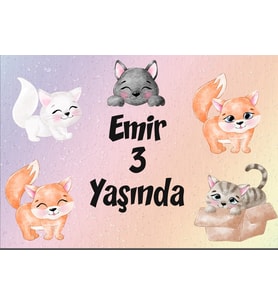 Kedi Teamlı Doğum Günü Afişi 35X50 cm