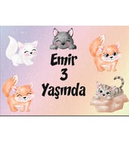 Kedi Teamlı Doğum Günü Afişi 35X50 cm