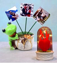 Kişiye Özel Hediye Seti 3 Fotoğraflı Kurbağa Tasarımlı Saksı ve Led Işıklı Fanus Seti (Model 1)