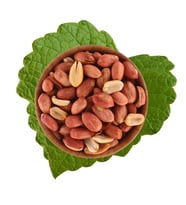 Tuzsuz Fıstık Jumbo 500 g (STD)