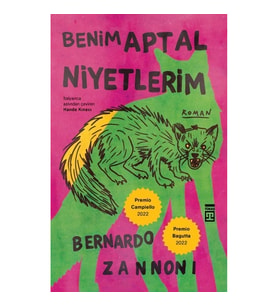 Benim Aptal Niyetlerim