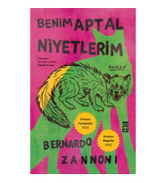 Benim Aptal Niyetlerim