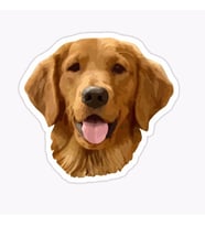 Golden Retriever Köpek Sticker Araba Oto Yapıştırması 17CM A8