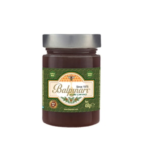 Balpınarı Süzme Çam Salgı Balı 450 g