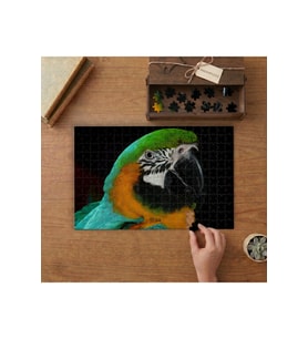 Renkli Papağan Kuşu Tasarımı 240 parça Ahşap Puzzle Ahşap Kutuda MP00080