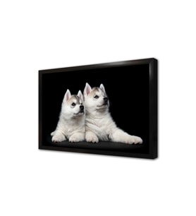 Beyaz Köpek Çerçeveli Mdf Tablo