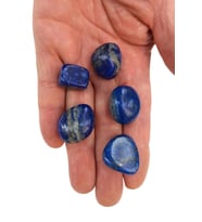 50 Gram Lapis Lazuli Tamburlu Parçalar 434-2