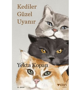 Kediler Güzel Uyanır
