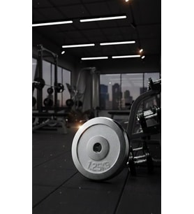 50 KG Dambıl Crom Dambıl 1,25 KG Ağırlık Plaka
