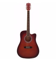 Washburn WA90CRDB Akustik Gitar