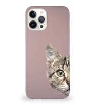 Apple iPhone 12 Pro Max Soft Premier Kapak Catface Tasarımlı Silikon Kılıf - Pudra (Şeffaf)
