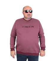 Starbattal Erkek Büyük Beden Sıfır Yaka 3ip Sweat London 24208 Eflatun