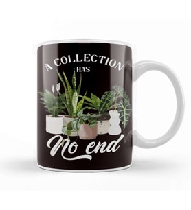 Collection Has No End Indoor Plants Planting Garden Flowers Kupa Bardak Porselen