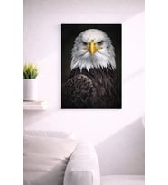 EAGLE18 TASARIM MDF TABLO (27X18)