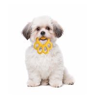 Orma Büyük Köpek Oyuncağı Mavi