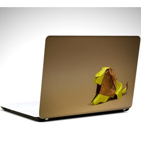 Aslan Minimal Laptop Sticker 13 İnch (34X24CM)