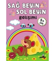 5 Yaş Sağ Beyin-Sol Beyin Gelişimi