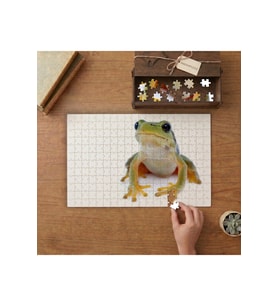 Yeşil Sevimli Kurbağa Tasarımı 240 parça Ahşap Puzzle Ahşap Kutuda MP02501