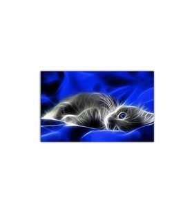 Işıkla Boyanmış Gri Kedi Tablo - 106781 - 60x60 Cm