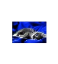 Işıkla Boyanmış Gri Kedi Tablo - 106781 - 60x60 Cm